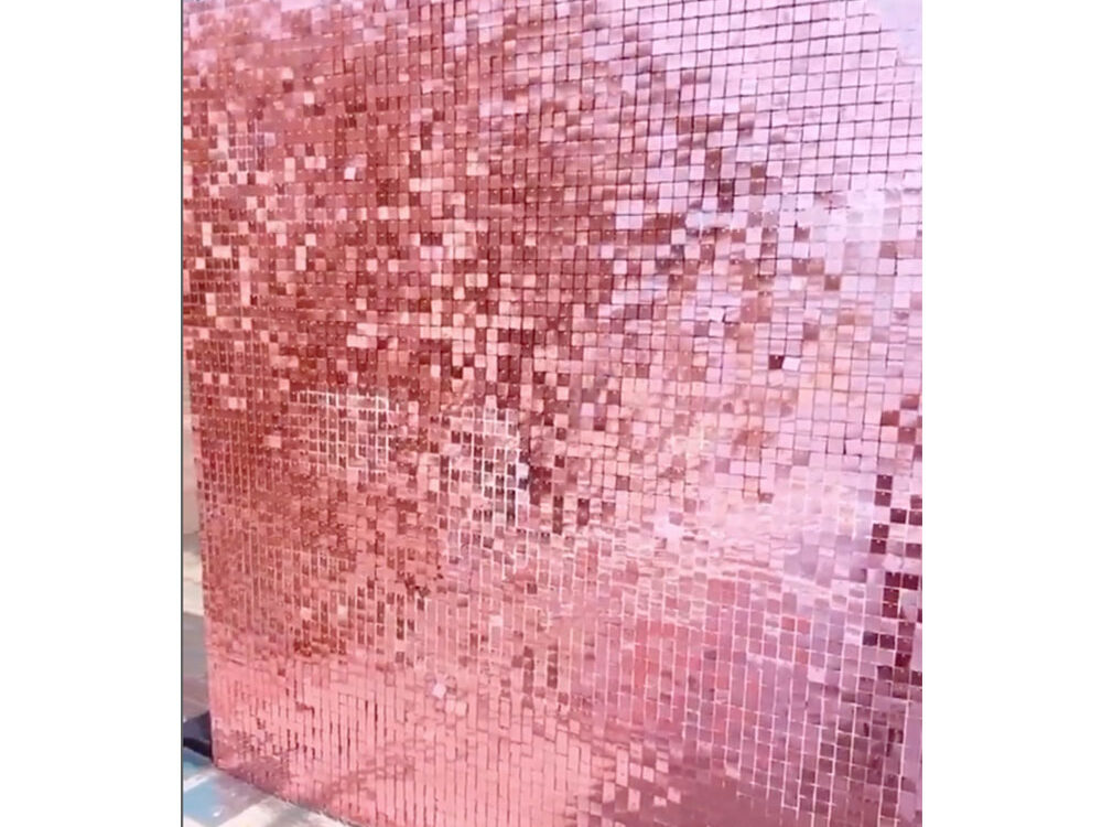 Pink Sequin Backdrop